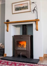 Ecco stovesAnevay Pioneer Stove.